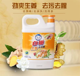 生姜洗洁精1.1kg 龙会易购 扬州宏创科技