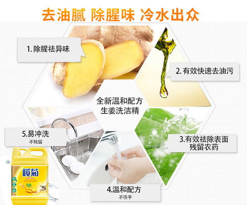 榄菊洗洁精生姜金桔洗洁精食品家用批发小瓶家庭装冷水去油污洗碗